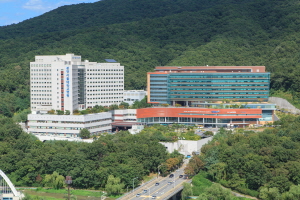 Seoul National University Bundang Hospital image
